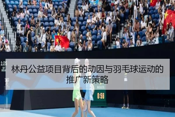 林丹公益项目背后的动因与羽毛球运动的推广新策略